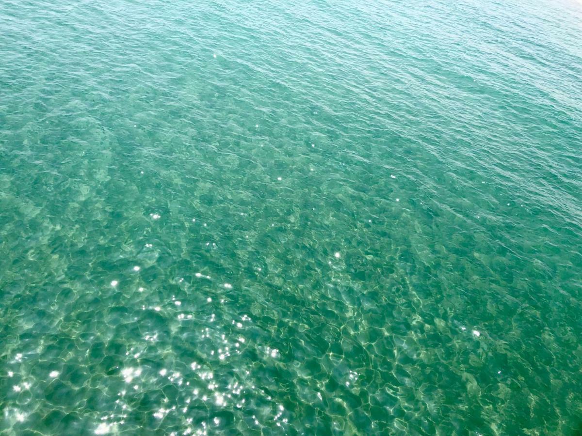 Barcaresa-Maisonnette Vue Mer Pieds Dans L'Eau Wifi Leucate Exterior photo